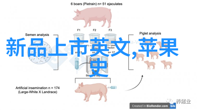 探索波多野结衣影视作品的魅力与影响