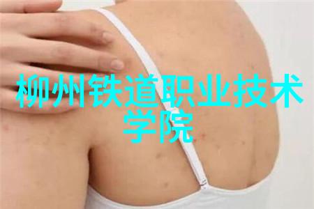 化学实验室设备大全揭秘高效的研发伙伴