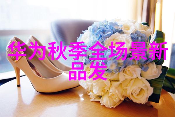 星闪技术创新太空探索的先锋科技