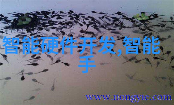 解锁北森人才测评答案技巧分享与心得体会