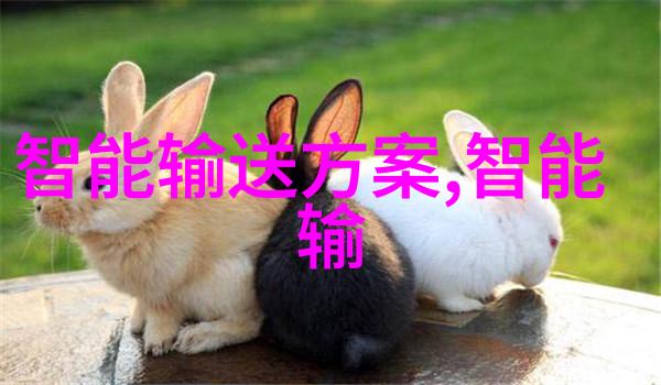 扬州工业职业技术学院-扬州工技院培育行业新才俊推动产业升级