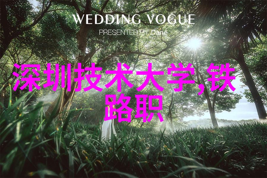 应用案例如何通过智能仪表降低运营成本和风险