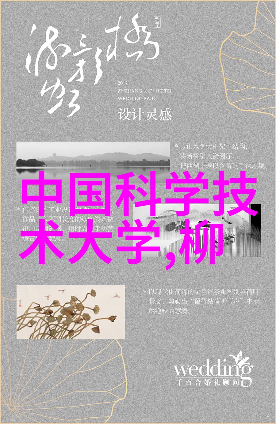 不锈钢钢板规格与价格全览精确选择最佳材料