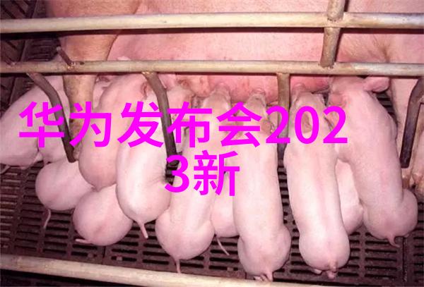 丝网规整填料国家标准解读