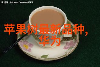 被学长C了一节课怎么办我是如何被学长C的一节课的从尴尬到超神的奇妙旅程
