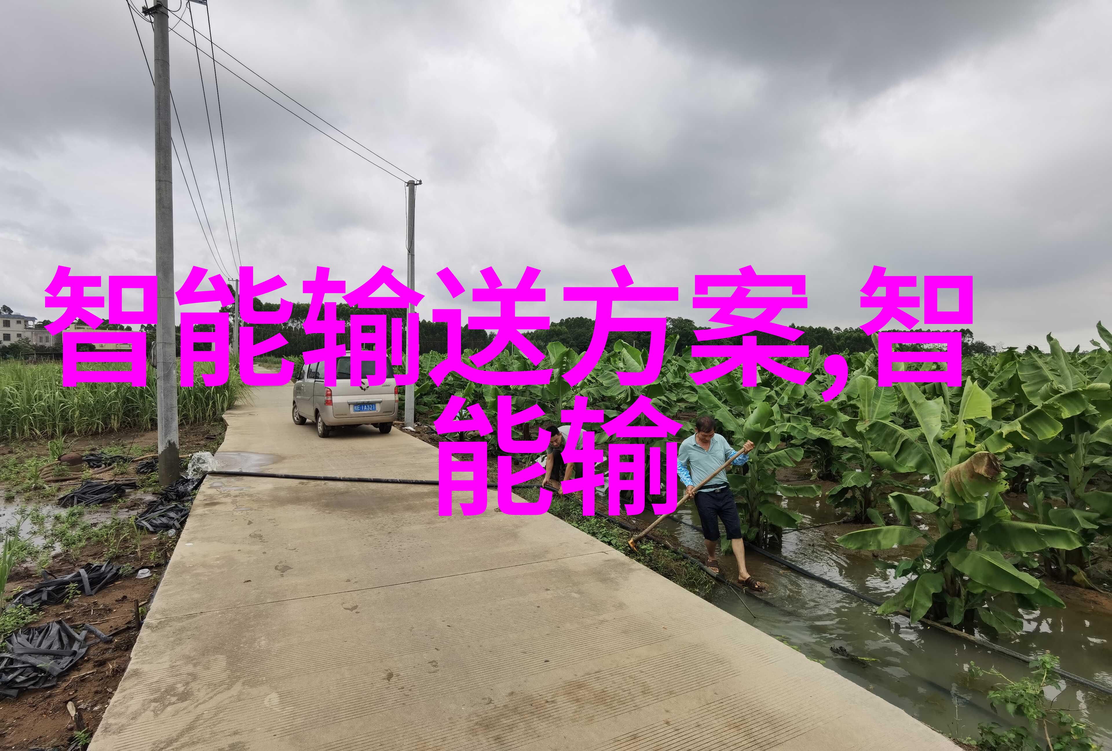 钙锌稳定剂真空包装机 色粉包装机