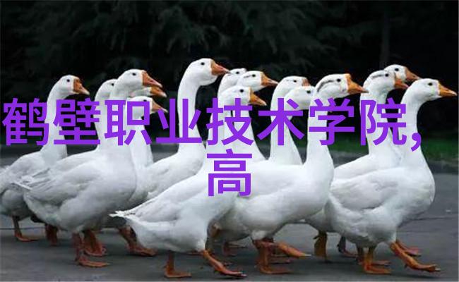 朝阳区热心群众的公益行动51cg网最新地址发布总结