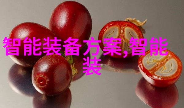 燃气蒸汽发生器技术与应用概述