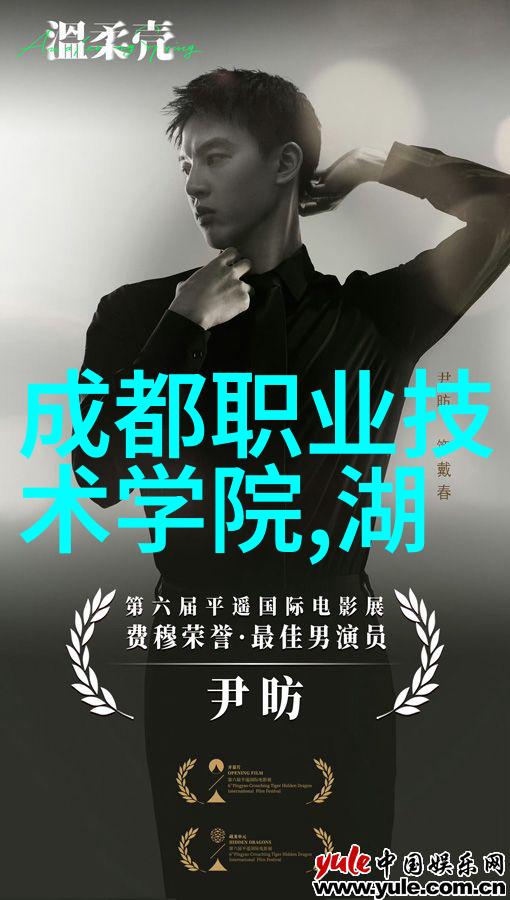 北大青鸟职业技术学院的学历层级主要是什么类型