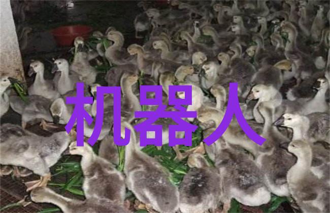 立昂技术与其他科技公司之间有何合作机制