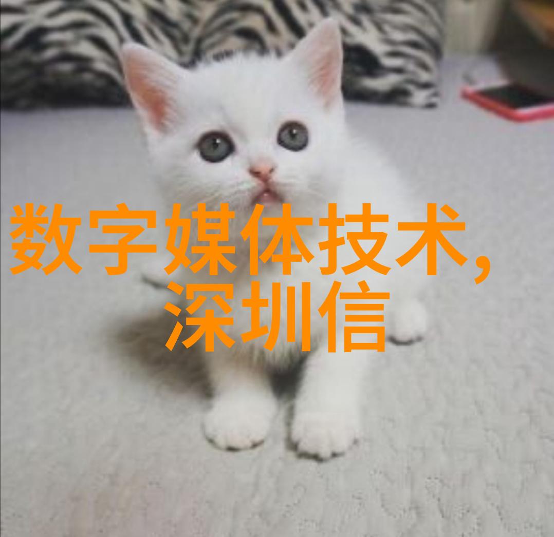 合肥职院创新实践基地引领技能型人才培养新模式