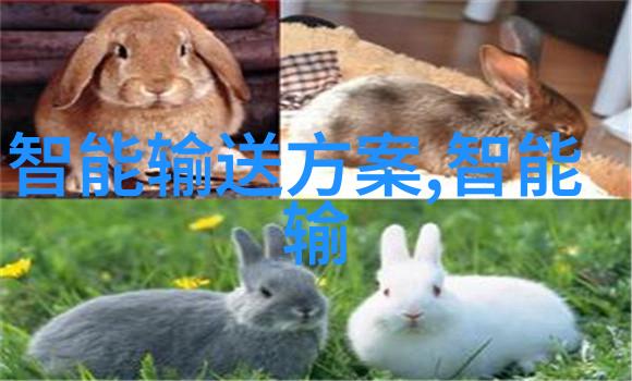 人工湿地火山岩填料我是如何用火山岩打造出小花园的湿地乐园