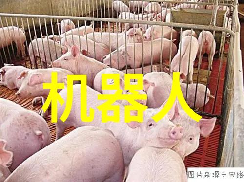 企业动态-把握企业发展脉搏洞察市场趋势