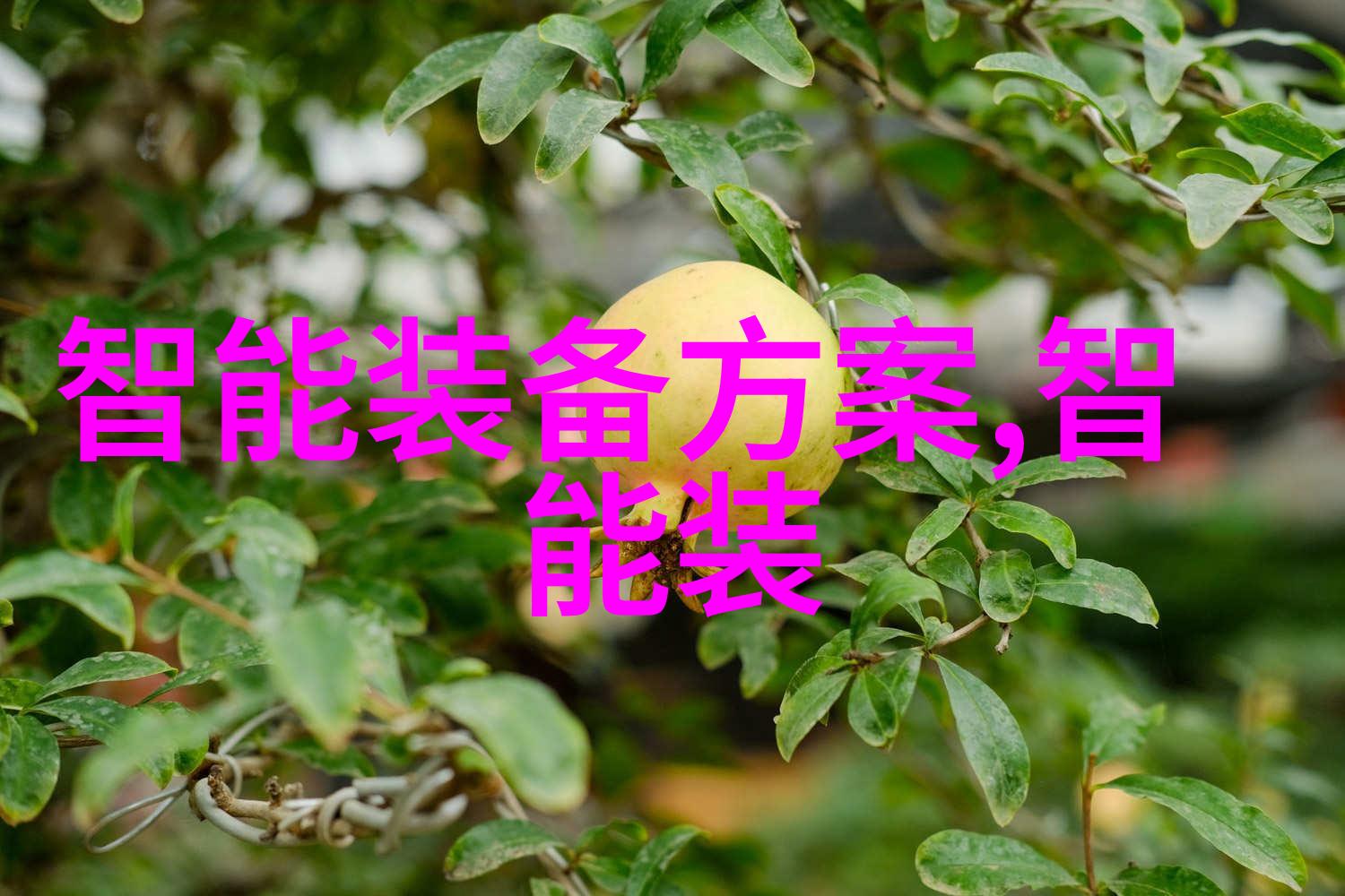 燃气蒸汽发生器火焰的灵魂与蒸汽的翅膀