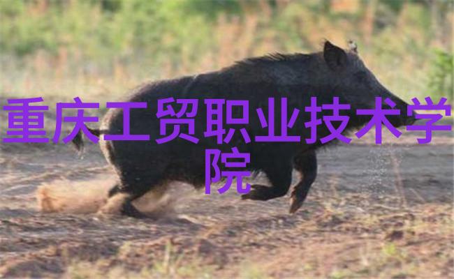 绿茵维度探索未来城市的智能管材世界