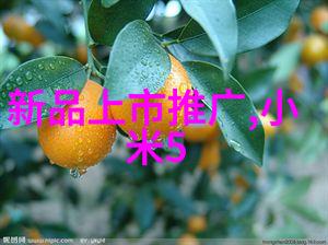 实验室废气处理技术的最新进展与应用