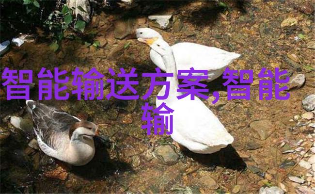 芯片新规发布近两月行业规范化进程加速