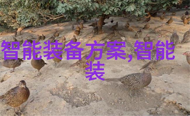 对于希望深造的学生来说浙財大提供了哪些研究方向和机会