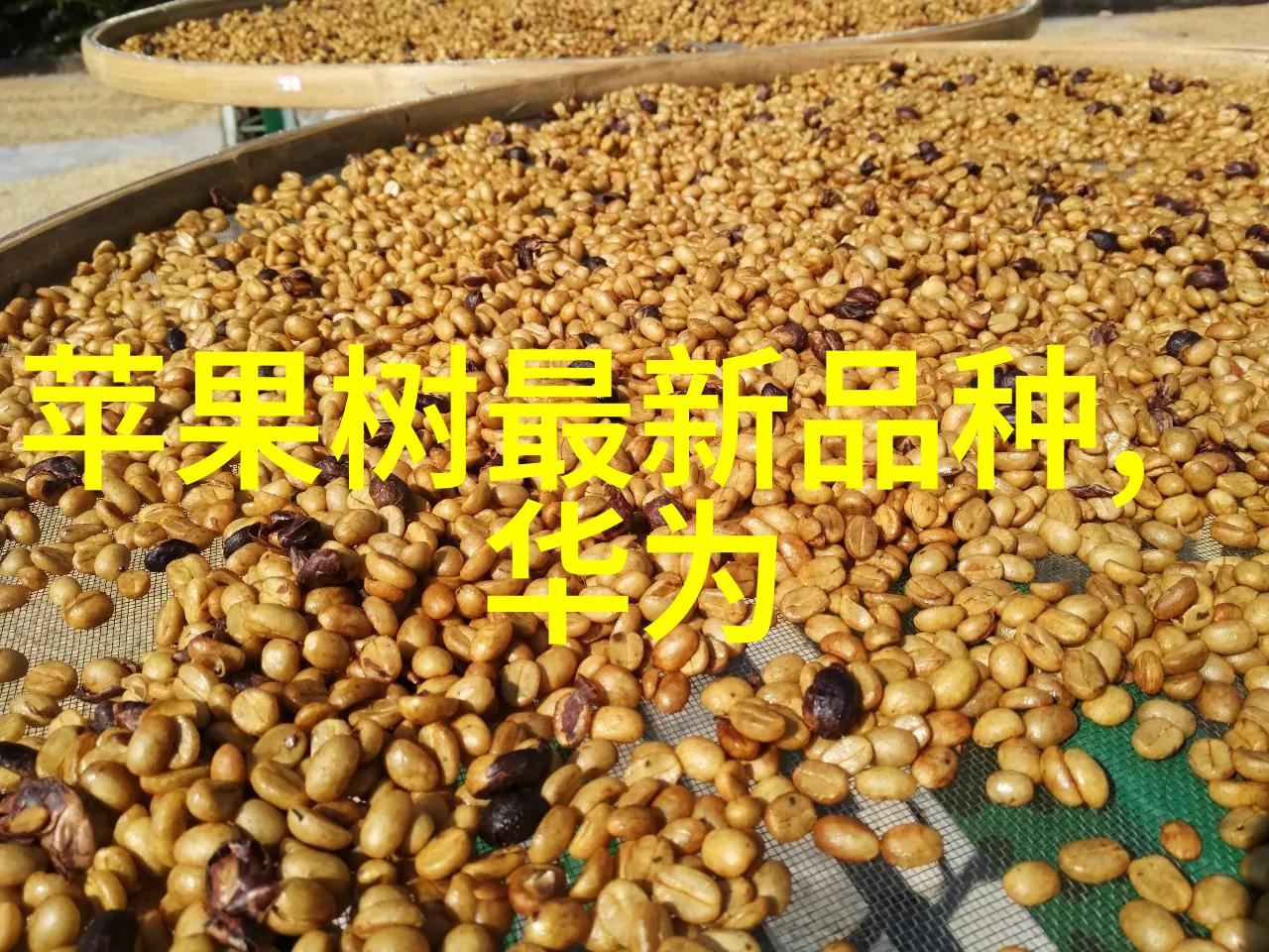 机器视觉系统-从基本概念到先进应用