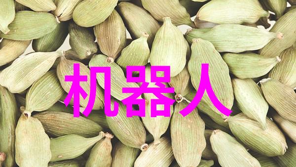 揭秘大气压从海平面到山顶探索地球的呼吸节奏