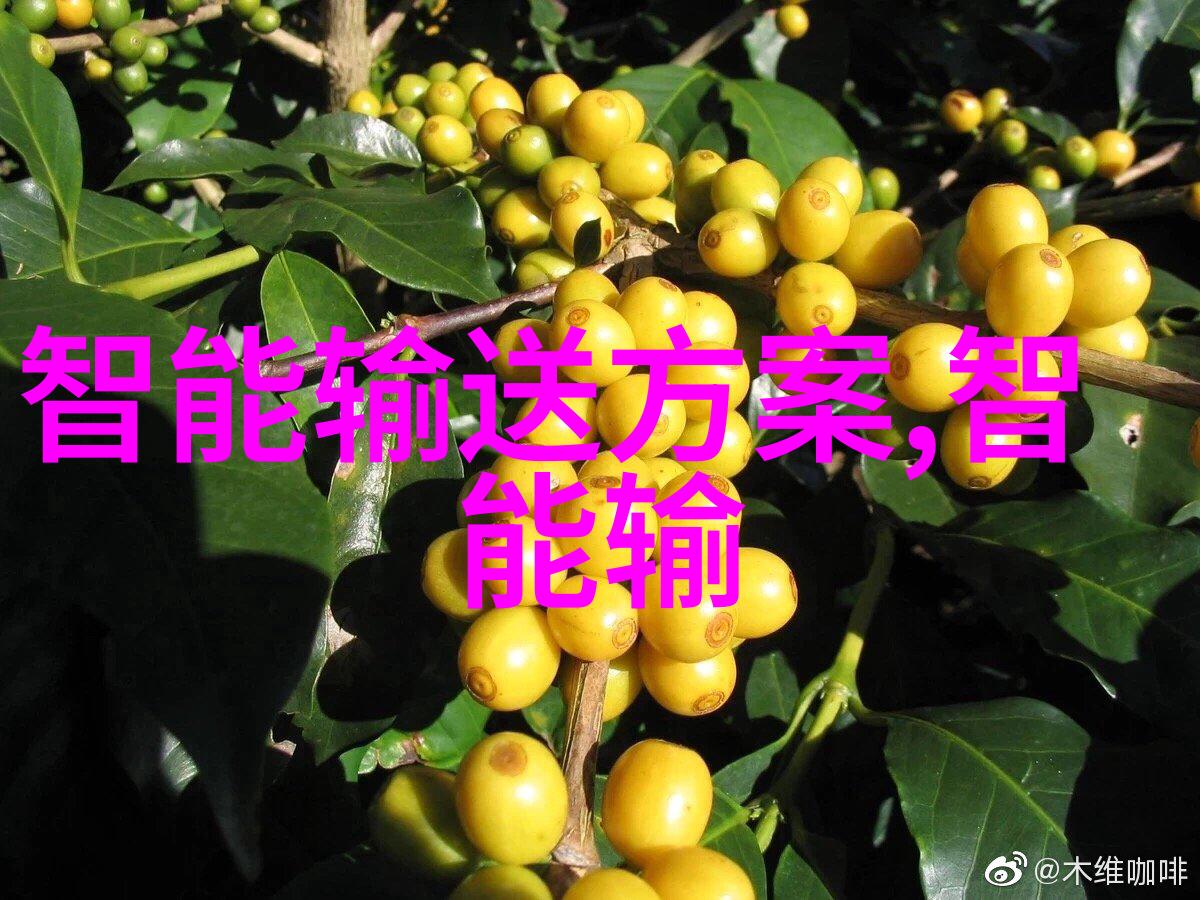 士官述职报告部队管理工作的难题有哪些