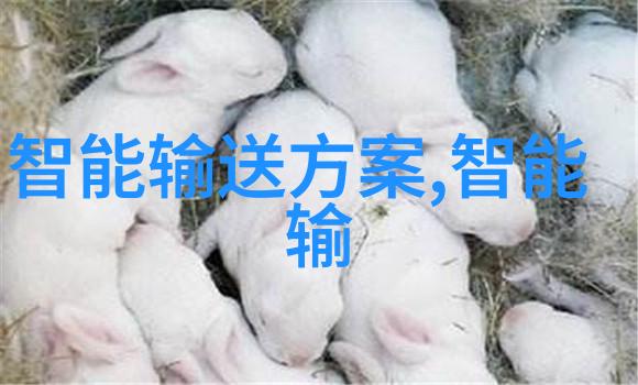 煤炭分选机与微生物限度过滤培养器双重筛选的奇迹