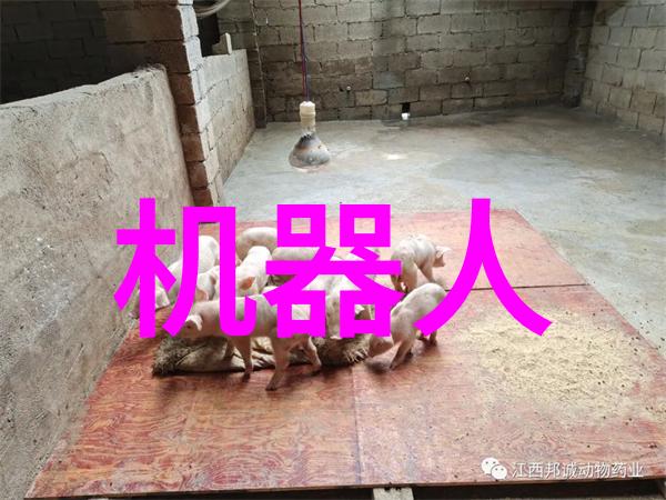 走进一个专注于研发的专业制剂室压片机设备厂家你会发现什么样的创新精神