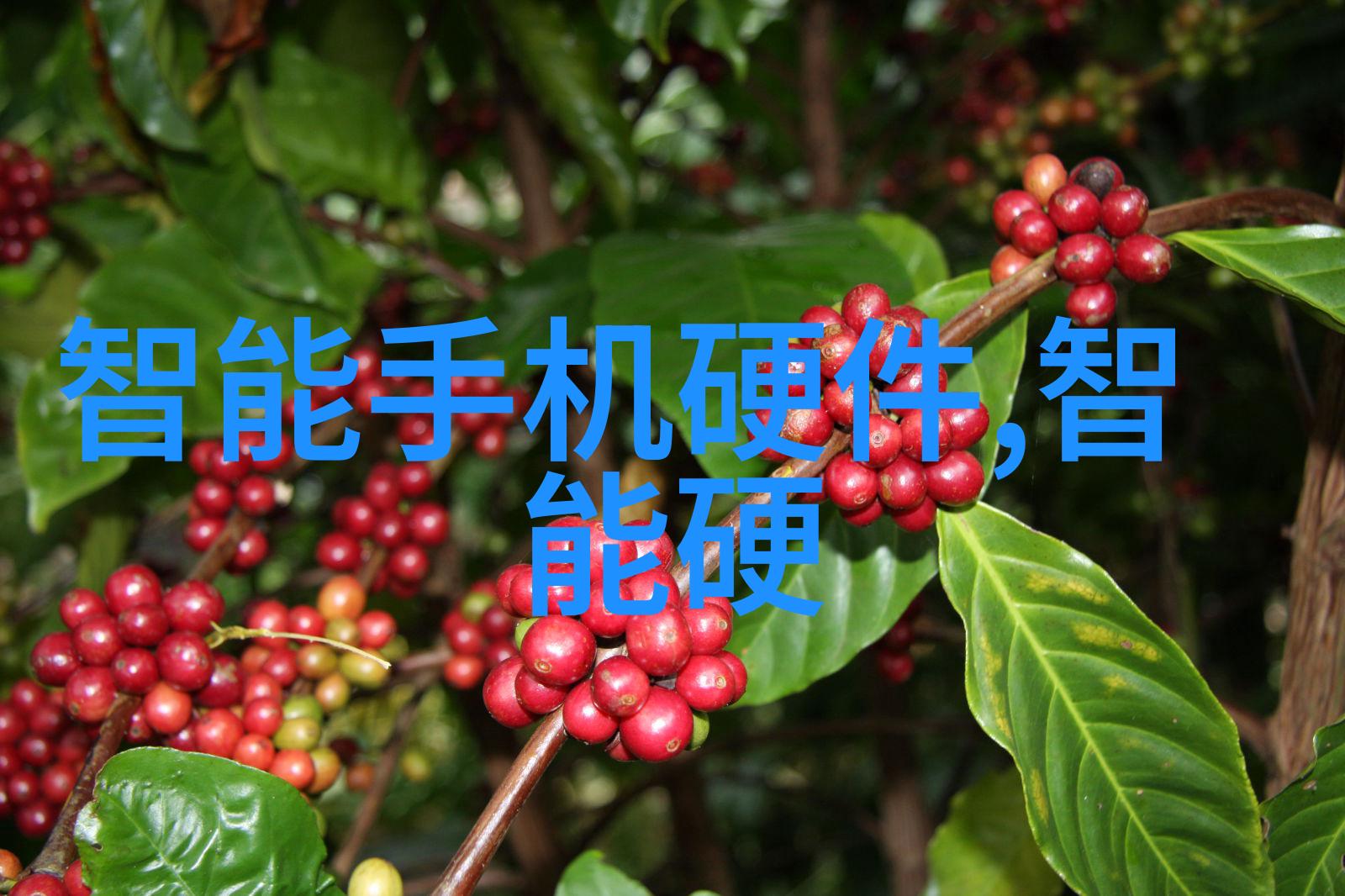 智能仪表方案在节能环保方面的表现如何