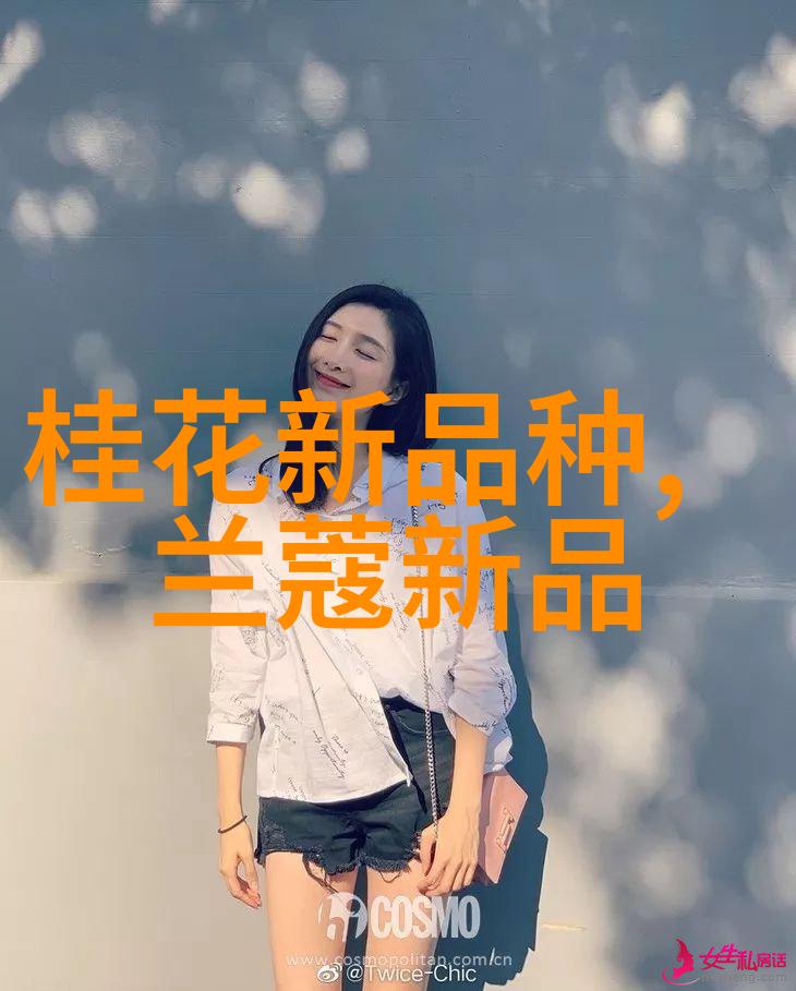客人30厘米长的旅程