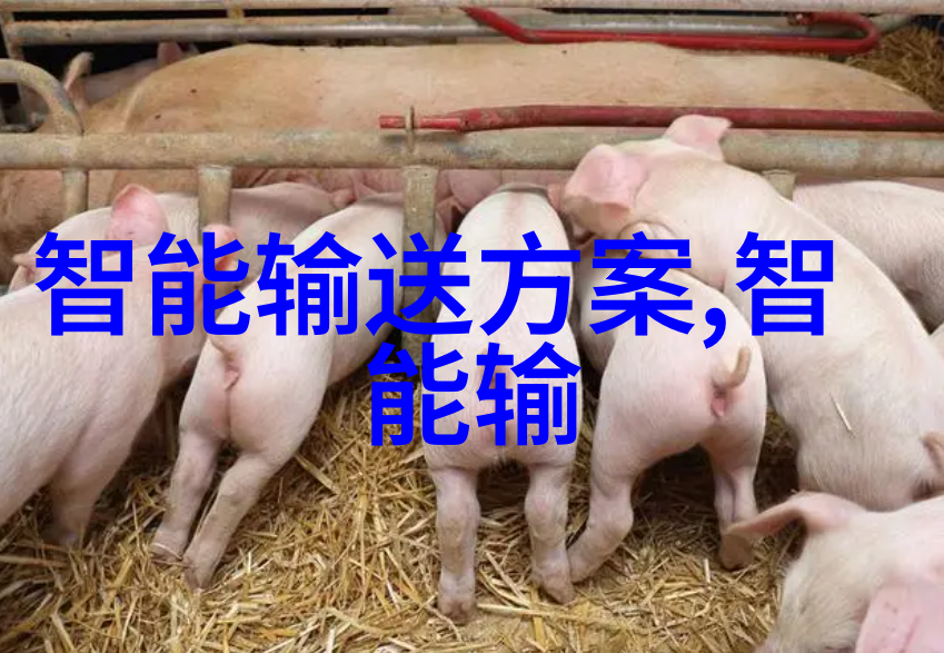 交通我是怎么发现智能交通信号灯在晚上比白天更能省油的