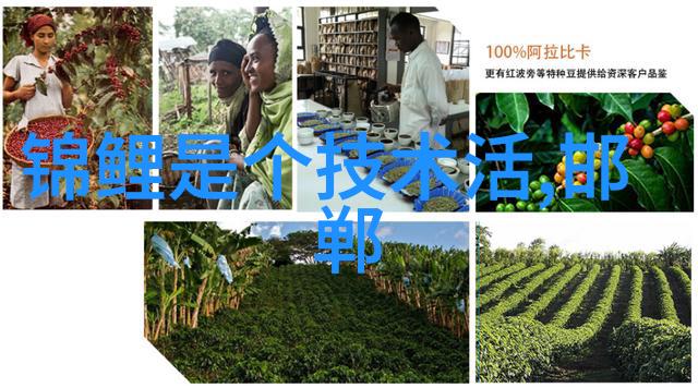 项目启动实用指南于撰写可行性报告