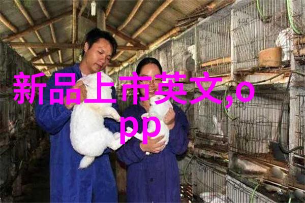 深度学习在影像处理中的应用及其对行业影响分析