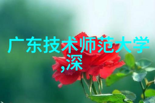 5252bobo我是怎么遇到那个神秘的5252bobo社群的