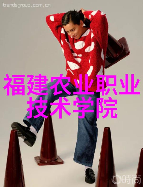 金属丝网的缤纷交响
