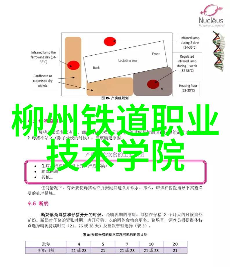 化工制冷设备在工业中的应用与创新发展