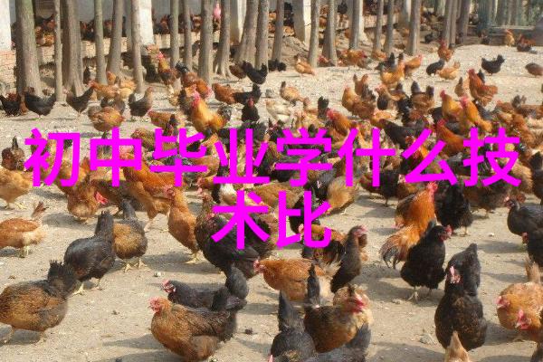 净化水设备生产高效污染物去除技术