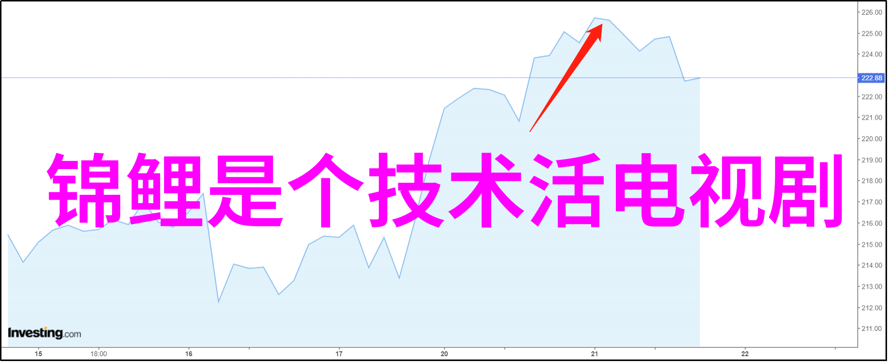 陕西财经职业技术学院学者与实践的和谐共生