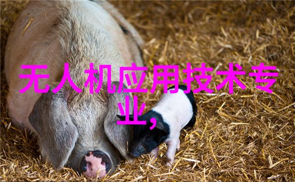 对外国留学生来说郑州财经学院提供了什么样的国际化教育体验