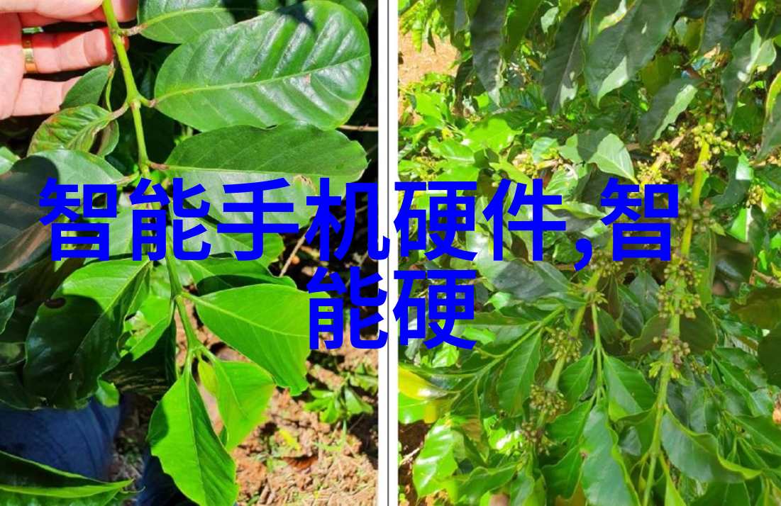 管道尺寸标准规格表从平凡到奇妙的隐秘世界