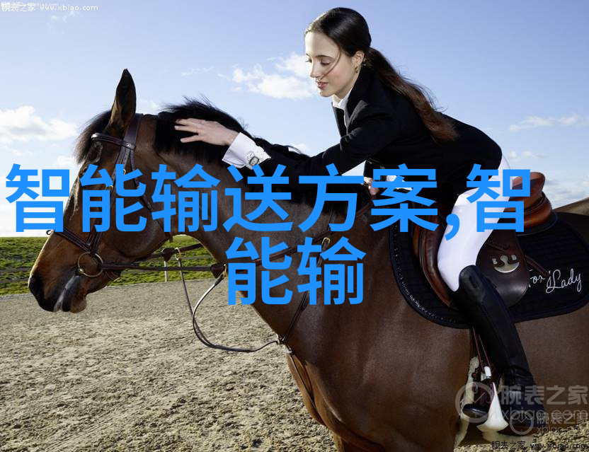中国智能制造2025实施过程中面临哪些挑战和机遇