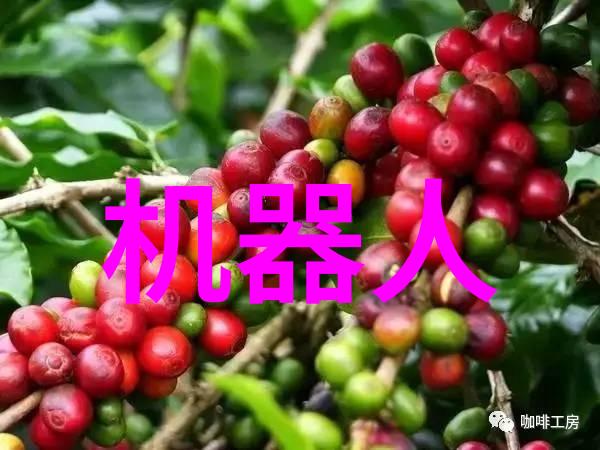 智能化进程中人工智能在水质监测中的作用有哪些关键点