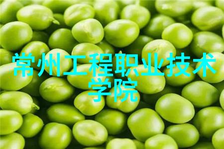 输送设备物流效率的关键技术与创新实践