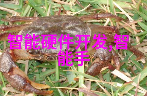 如何评估建设工程项目可行性研究报告中的安全风险