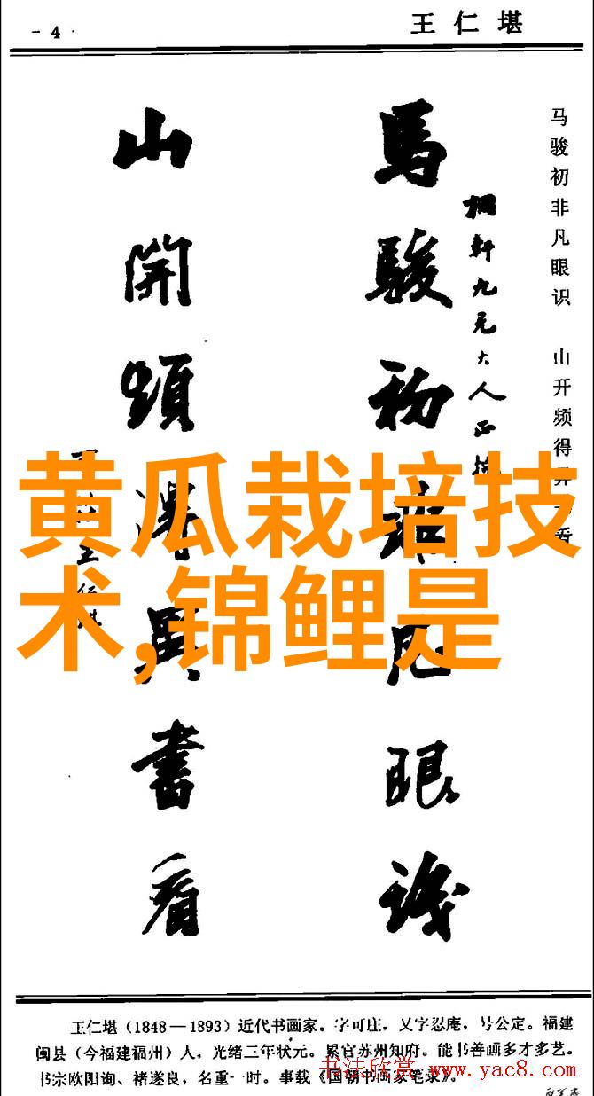 工业用途中的精细分离高性能筛分技术分析