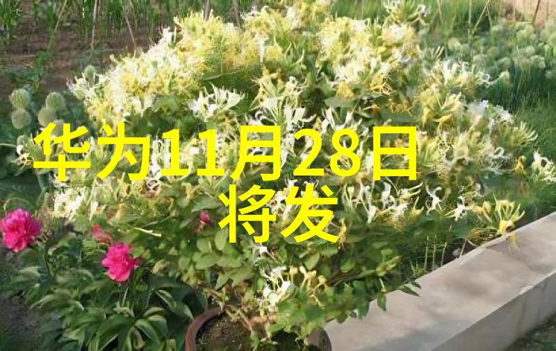 中国化工装备行业的发展前景分析