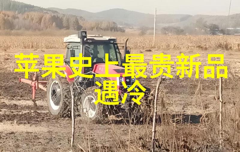 黄台软件秘密花园揭秘404APP的免费使用之道