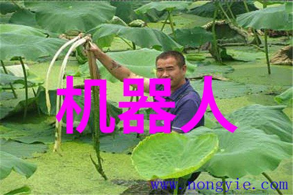 不锈钢304铸造工艺革新节能环保新趋势