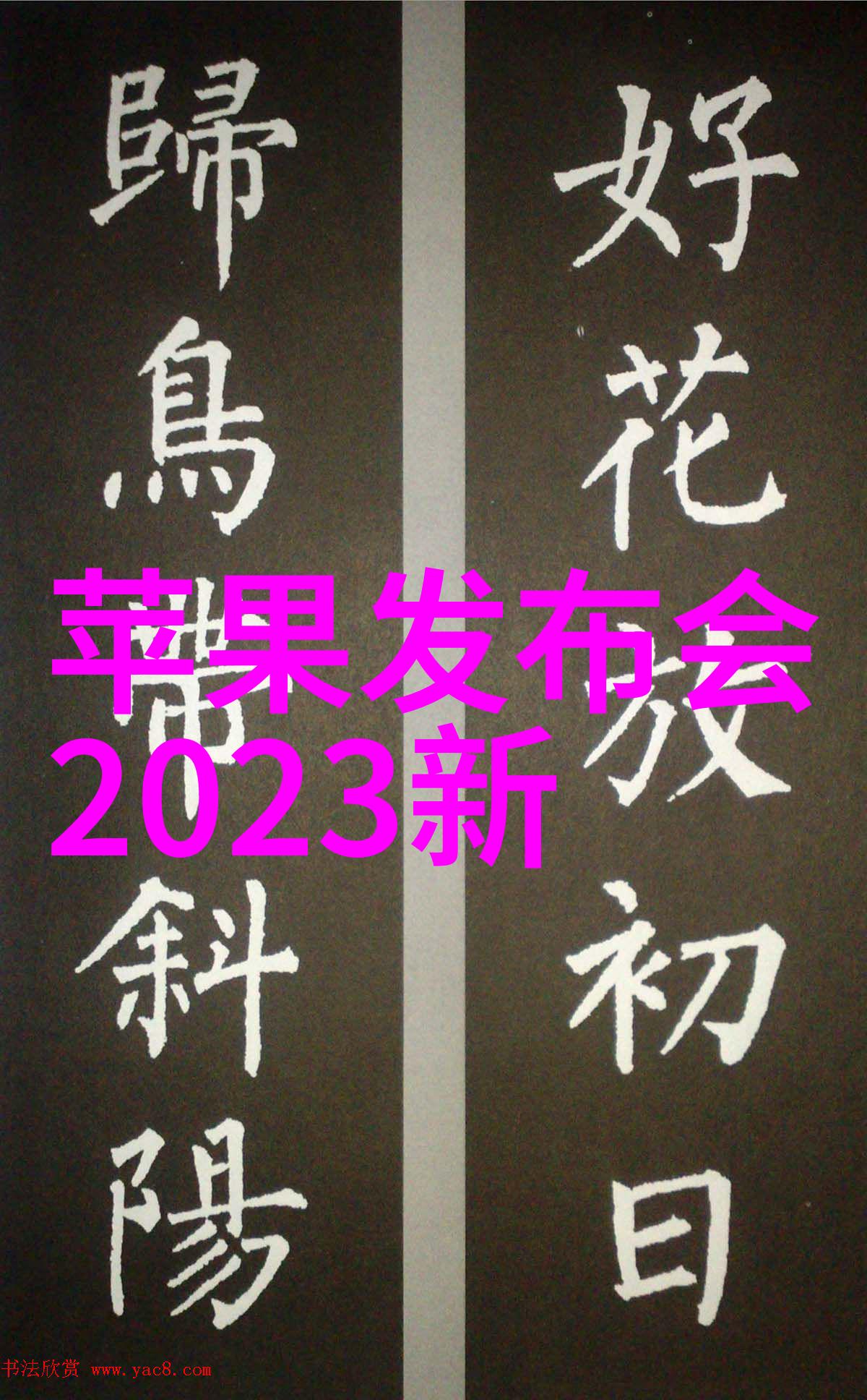 爸爸的新宠物成为玩具的我
