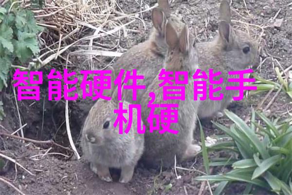 玉蒲团之玉女心经探秘揭秘古典情感的哲学深度