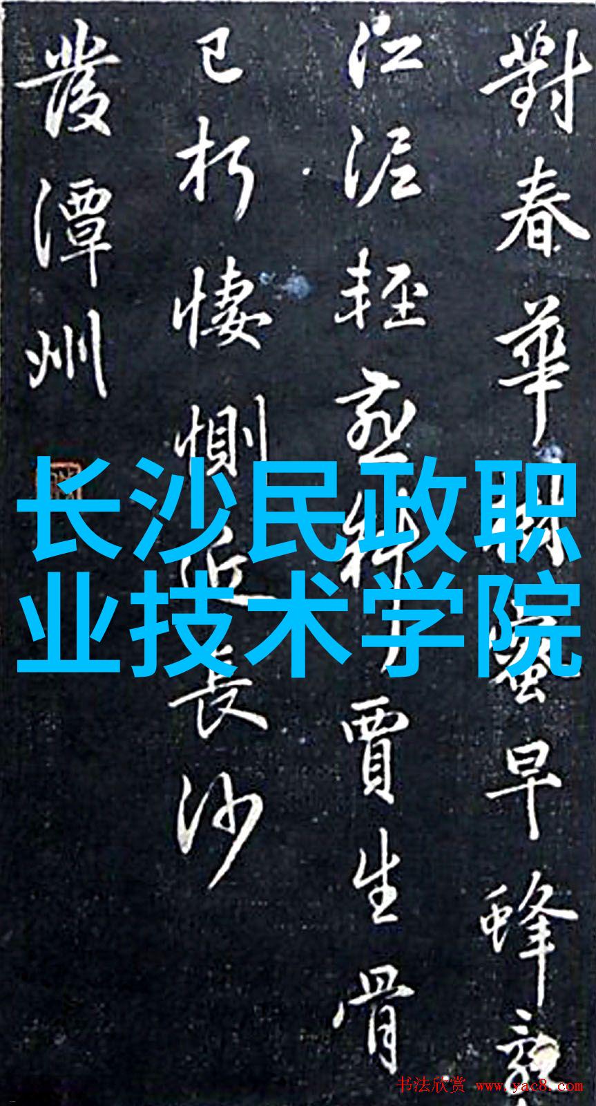 机甲之心胶囊剂机械的秘密